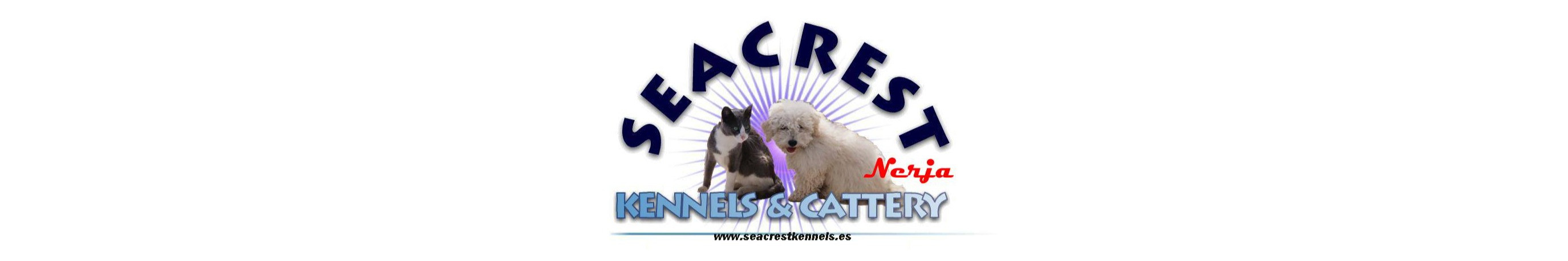Hotel for dogs and cats - Hotel para perros y gatos