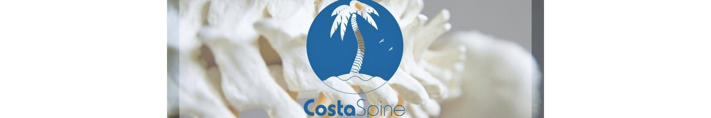 CostaSpine Wellness Clinic